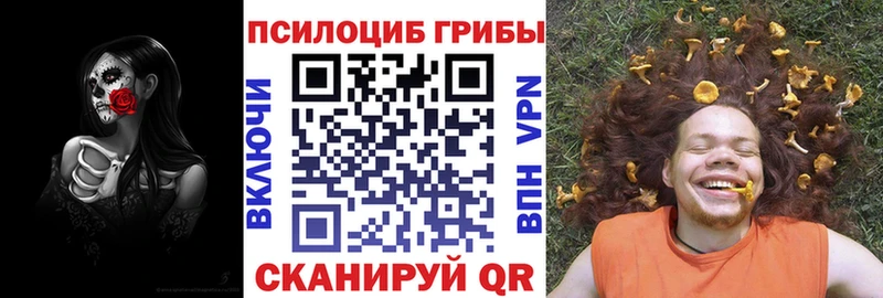 Галлюциногенные грибы Psilocybine cubensis  Чудово 